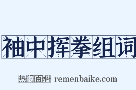 袖中挥拳组词是什么意思的图片